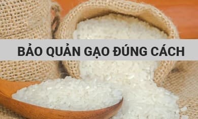 Bảo quản Gạo đúng cách: Tránh mốc, mọt và giữ trọn dưỡng chất trong mùa mưa