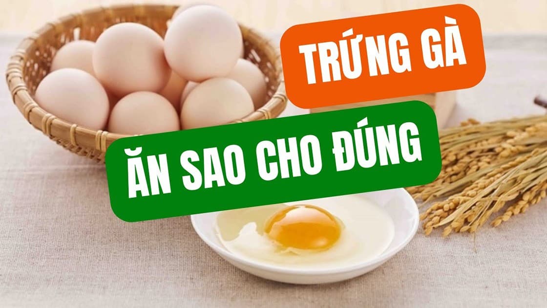 Lợi ích của việc sử dụng Trứng Gà thường xuyên