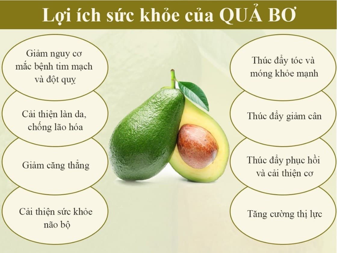 Quả Bơ - "Siêu thực phẩm" cho sức khỏe và sắc đẹp