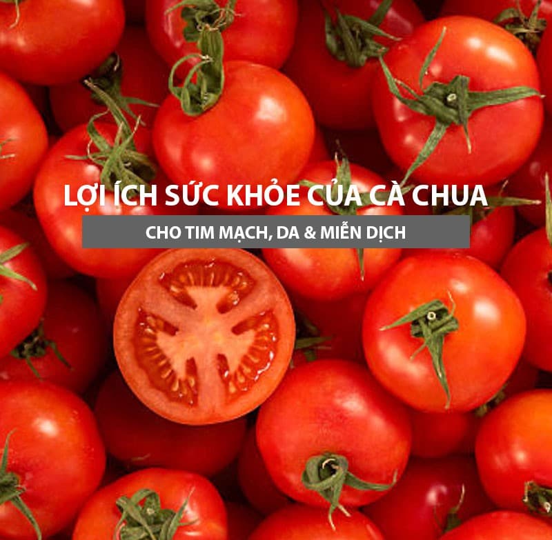Lợi Ích Sức Khỏe Của Cà Chua – “Siêu Thực Phẩm” Cho Tim Mạch, Da & Miễn Dịch