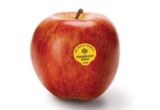 Táo Braeburn Newzeland